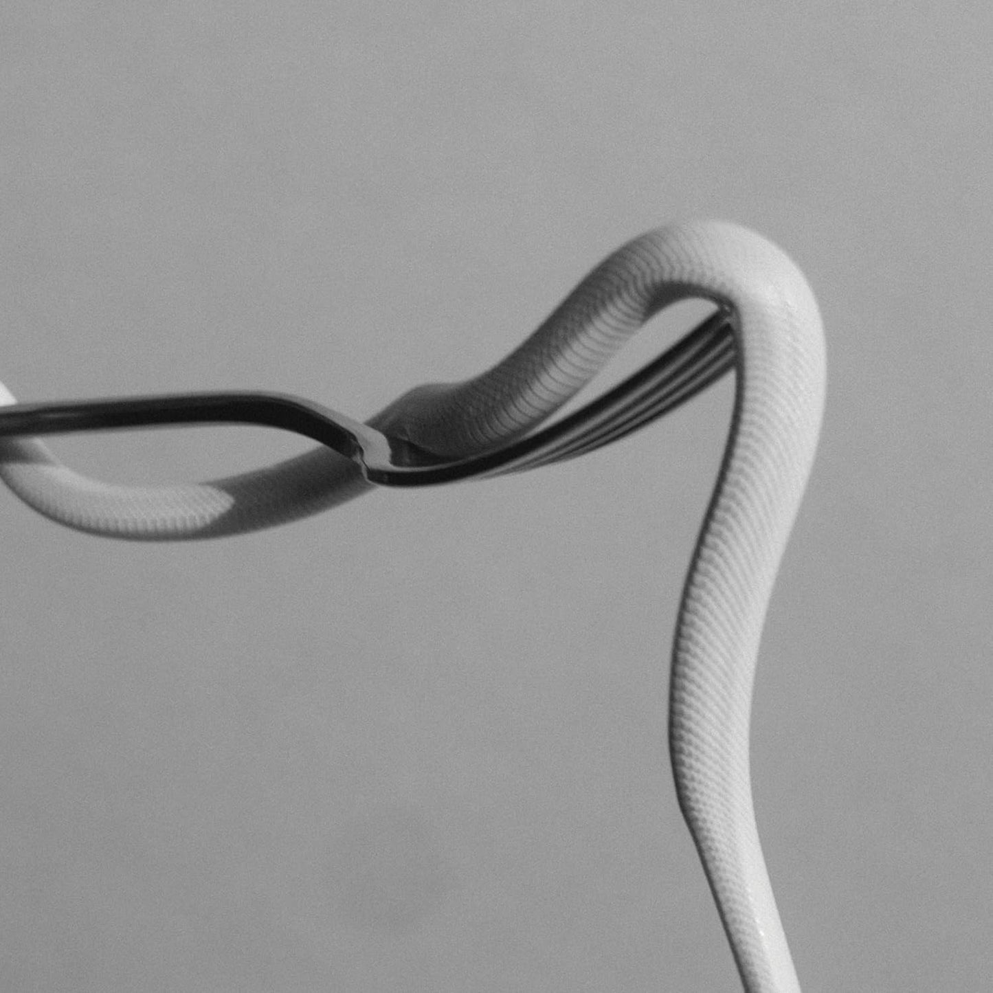 Animals as Leaders "Parrhesia" 12"