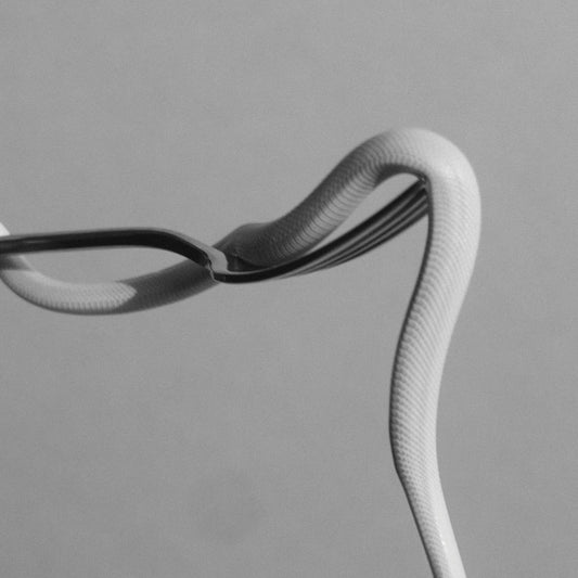 Animals as Leaders "Parrhesia" 12"